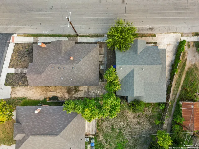a plant that is sitting in the backyard