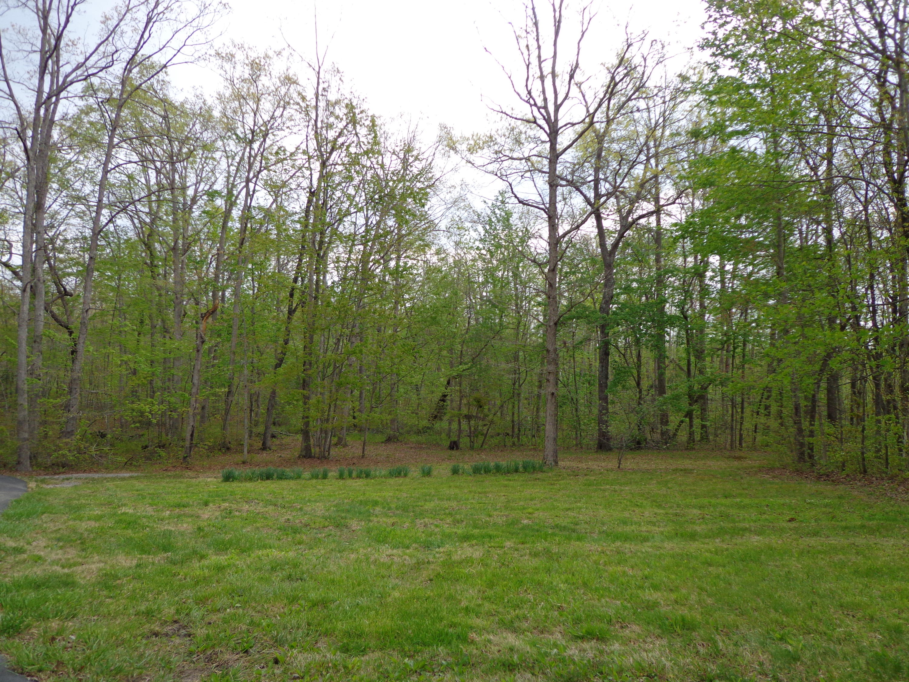 404 Dripping Springs Road Monterey, TN 38574 - Photo 14 of 18 DSC02277
