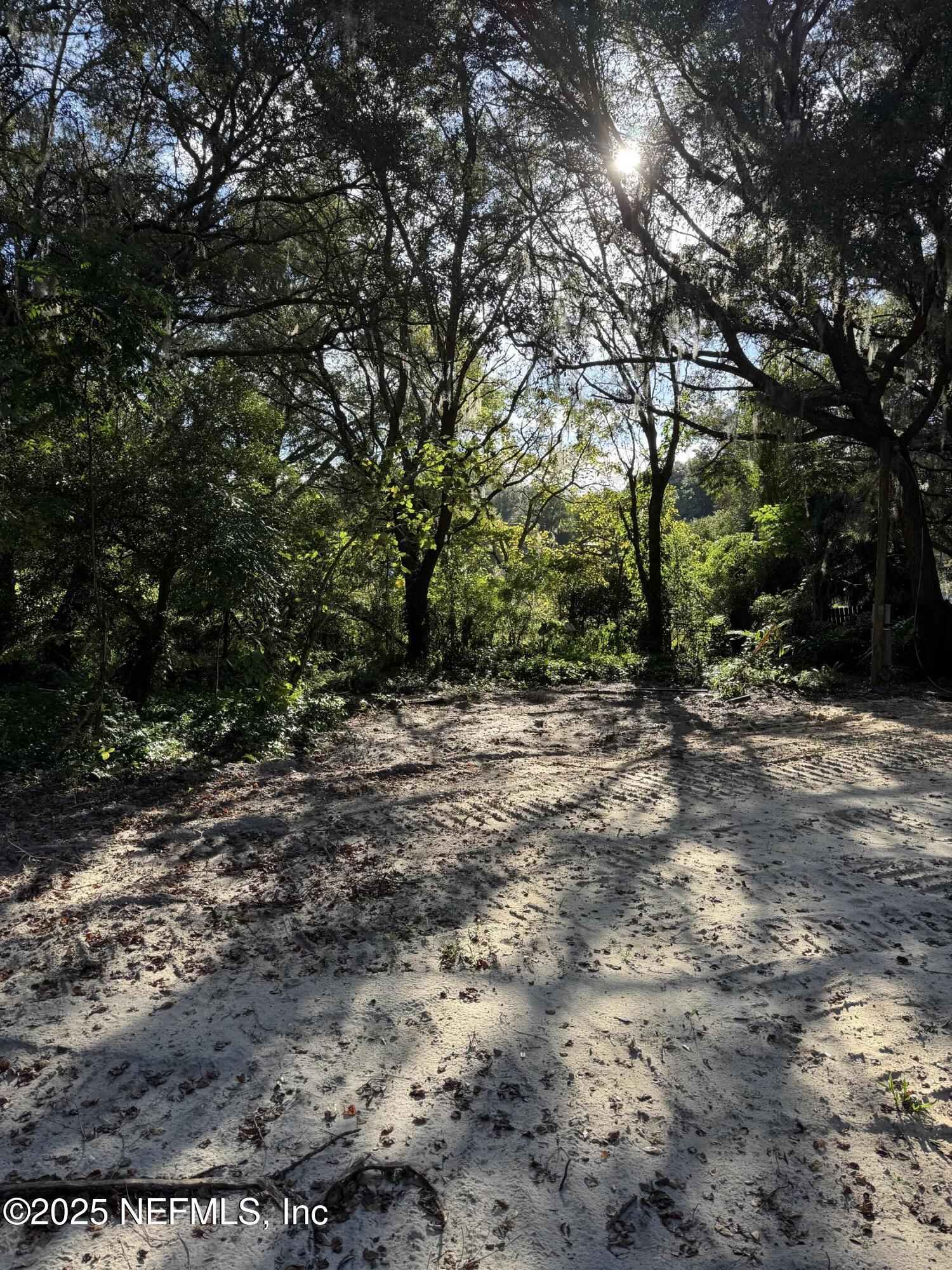6081 Highway 100 Keystone Heights, FL 32656 - Photo 2 of 4 a view of outdoor space with trees