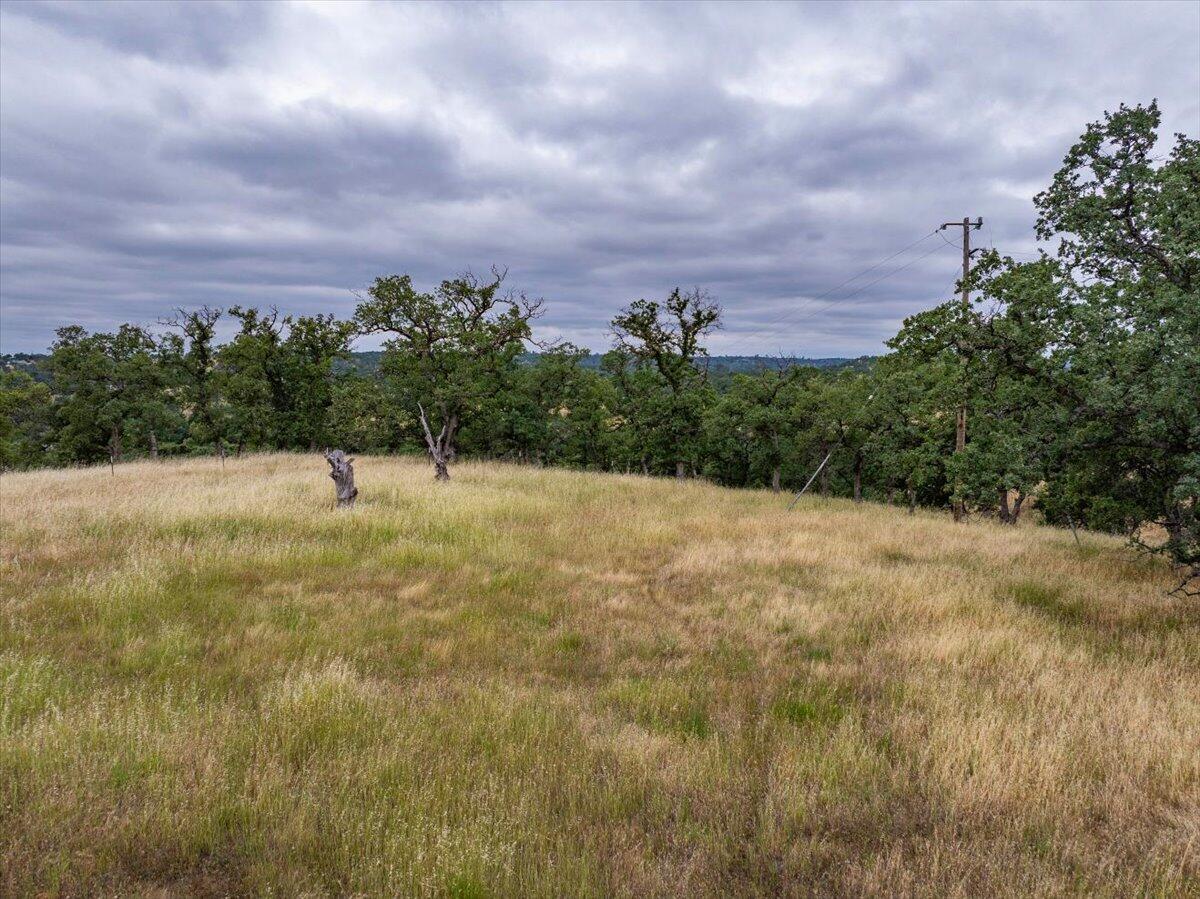Paynes Creek Road Red Bluff, CA 96080 - Photo 17 of 17 a view of a yard with a trees in the background