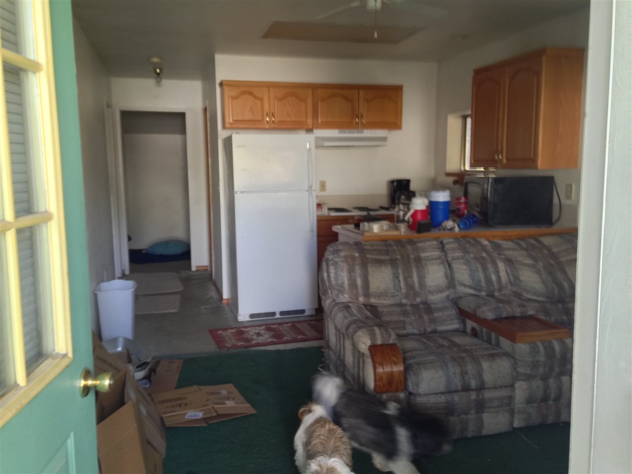 Gallery Image 6