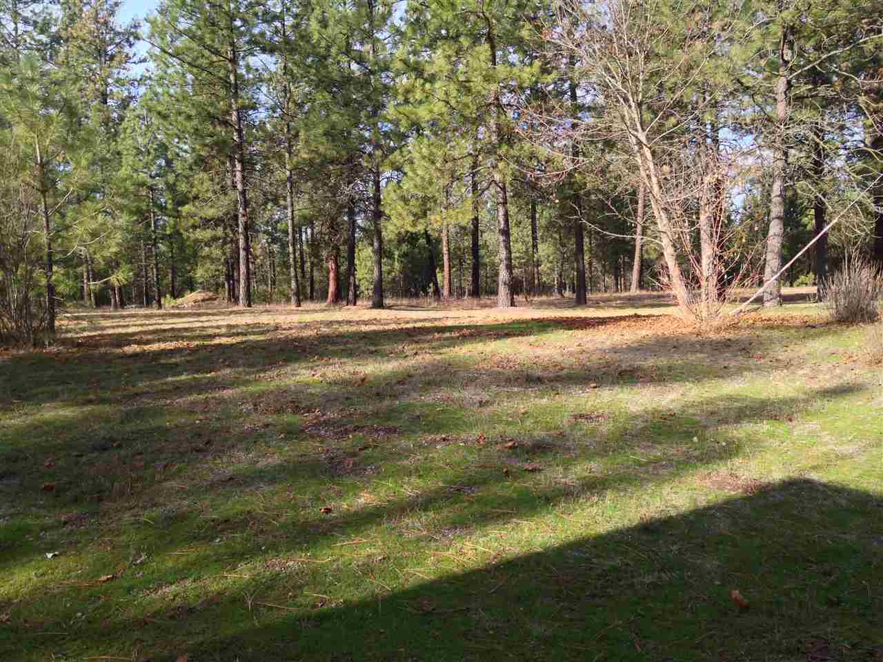 27415 North Hardesty Road Chattaroy, WA 99003 - Photo 8 of 10 Gallery Image 8