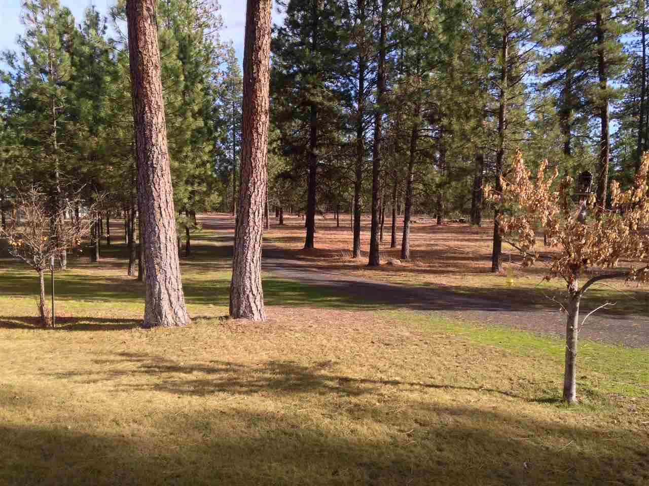27415 North Hardesty Road Chattaroy, WA 99003 - Photo 10 of 10 Gallery Image 10