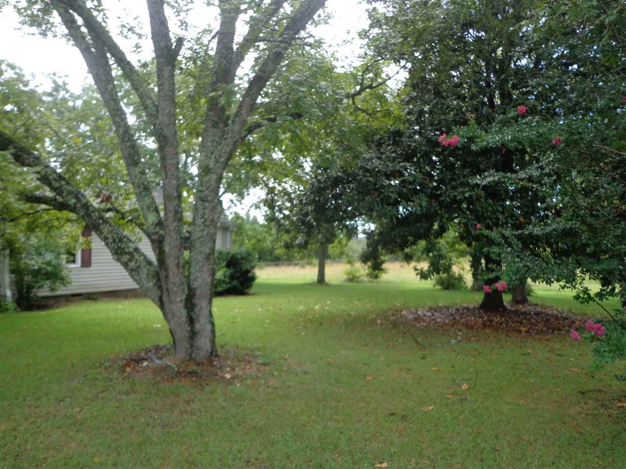 780 2 Mile Creek Road Enoree, SC 29335 - Photo 4 of 10