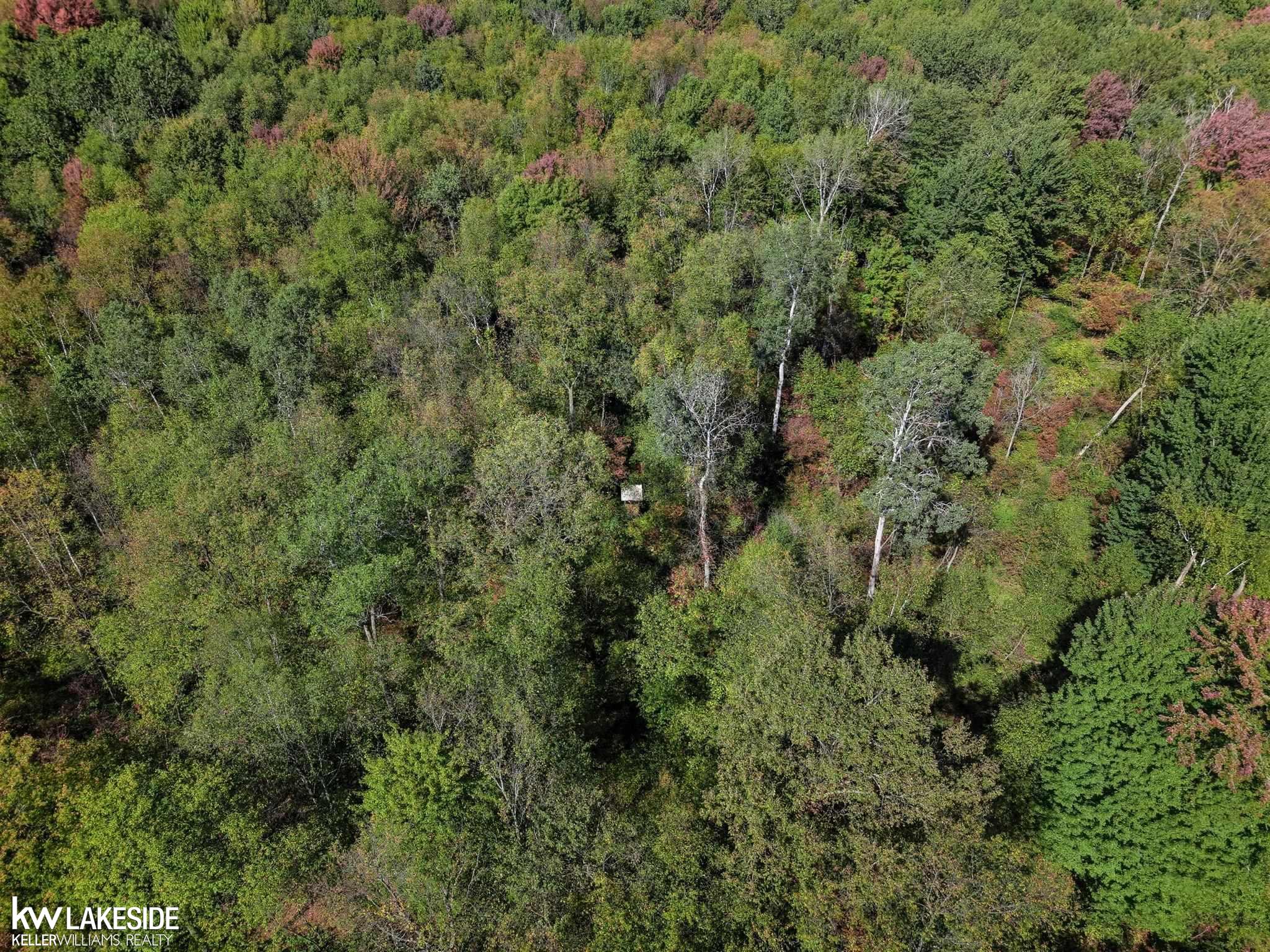 0 East Eddy Road Sandusky, MI 48471 - Photo 10 of 43
