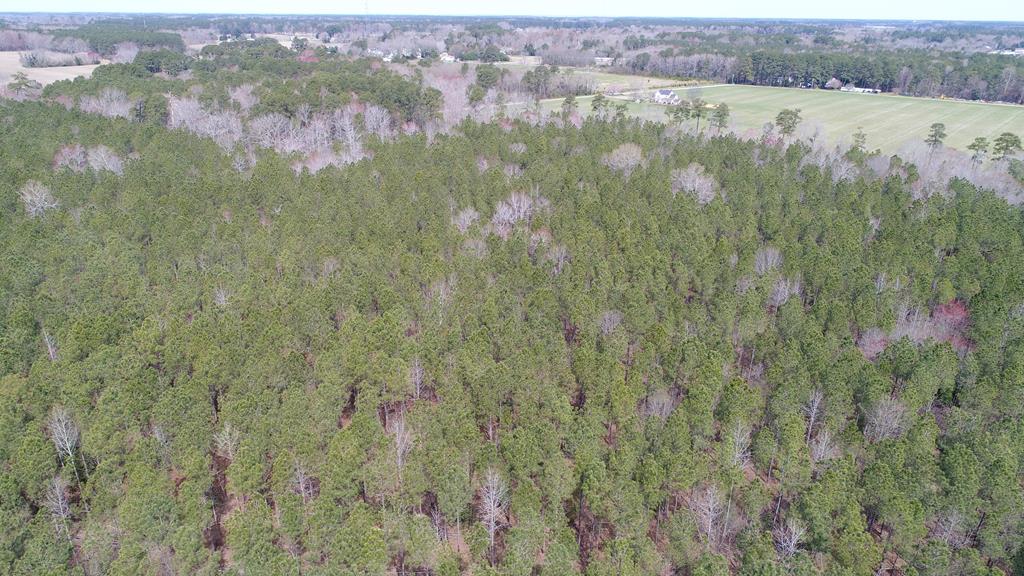 0 Drummondtown Road Accomac, VA 23301 - Photo 37 of 50