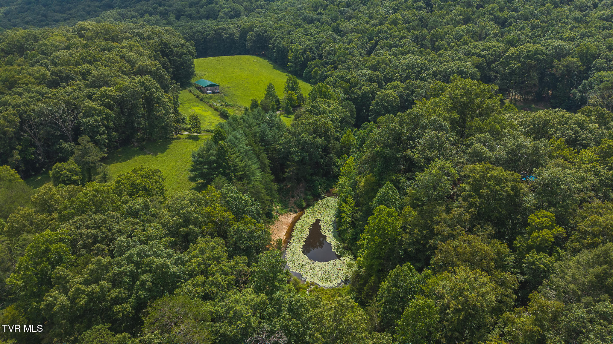 164 Price Road Rogersville, TN 37857 - Photo 33 of 48 DJI_20250723121644_0856_D