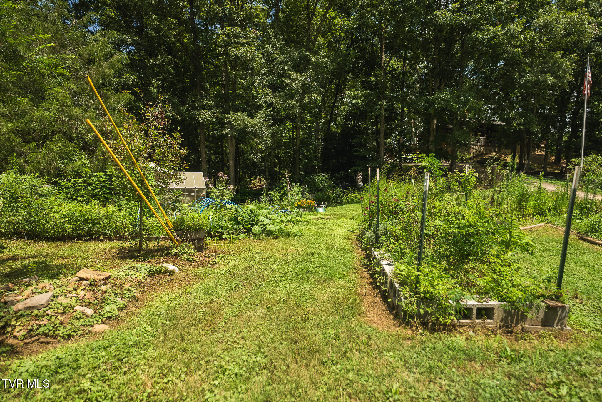 164 Price Road Rogersville, TN 37857 - Photo 46 of 48 DSC09153
