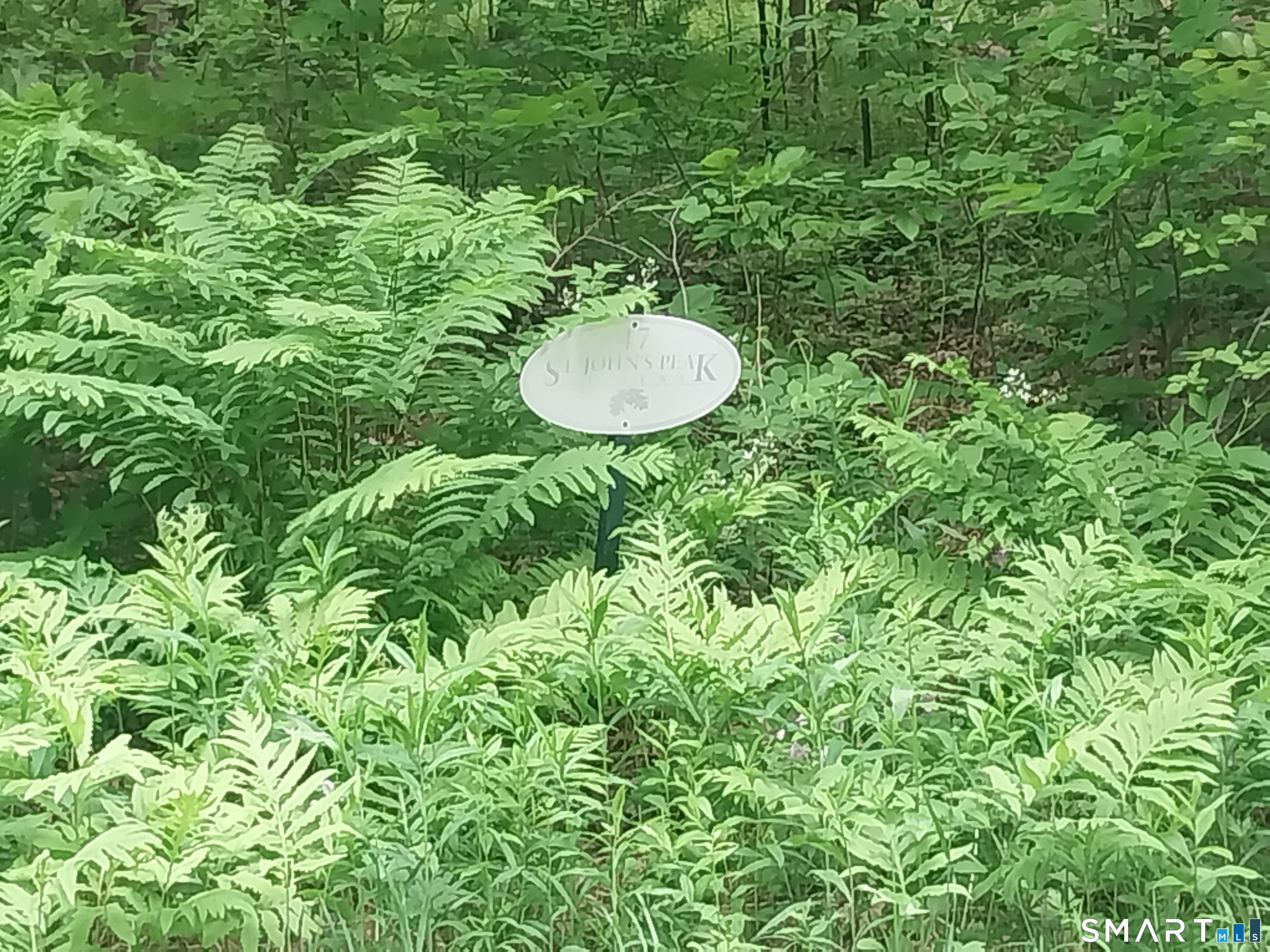 Mount Mauwee Road South Kent, CT 06785 - Photo 9 of 10 a backyard of a house with a table and chair