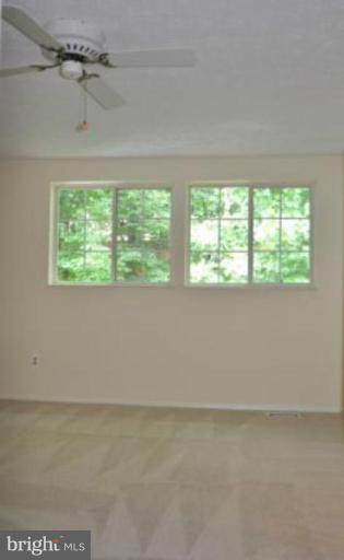 11510 Underoak Court Reston, VA 20191 - Photo 6 of 30 Master bedroom privacy facing trees.