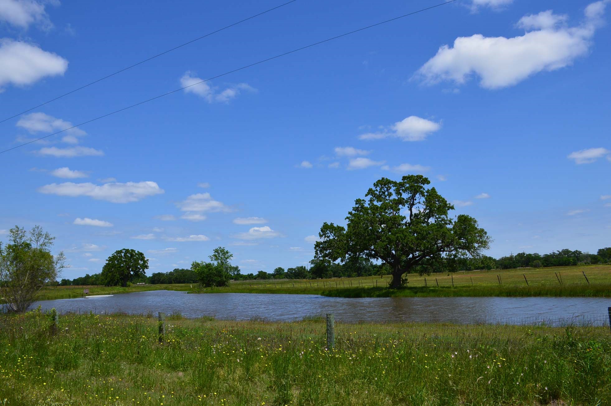 15130 Fm 39 Road Bedias, TX 77831 - Photo 16 of 26