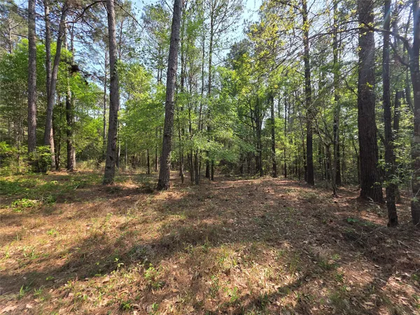 $337,355 | 190 Point Blank Tx 77364, Point Blank, TX 77364