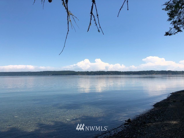 13417 Agate Beach Road Anderson Island, WA 98303 - Photo 1 of 11 Gallery Image 1