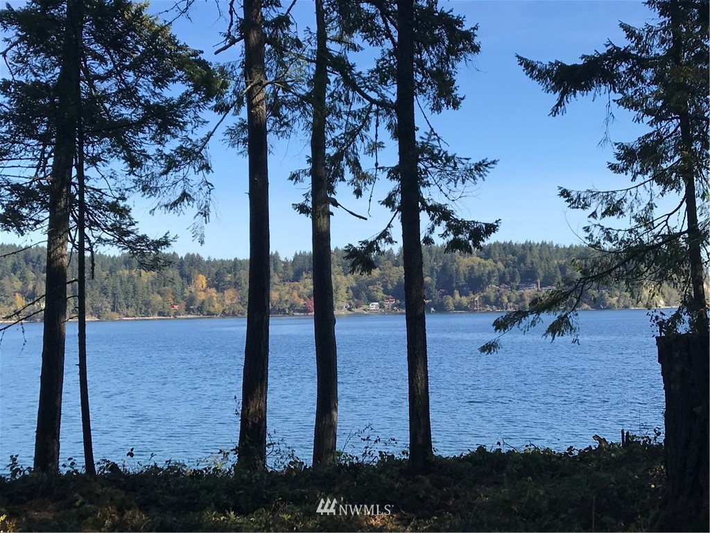13417 Agate Beach Road Anderson Island, WA 98303 - Photo 11 of 11 Gallery Image 11