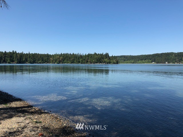 13417 Agate Beach Road Anderson Island, WA 98303 - Photo 4 of 11 Gallery Image 4
