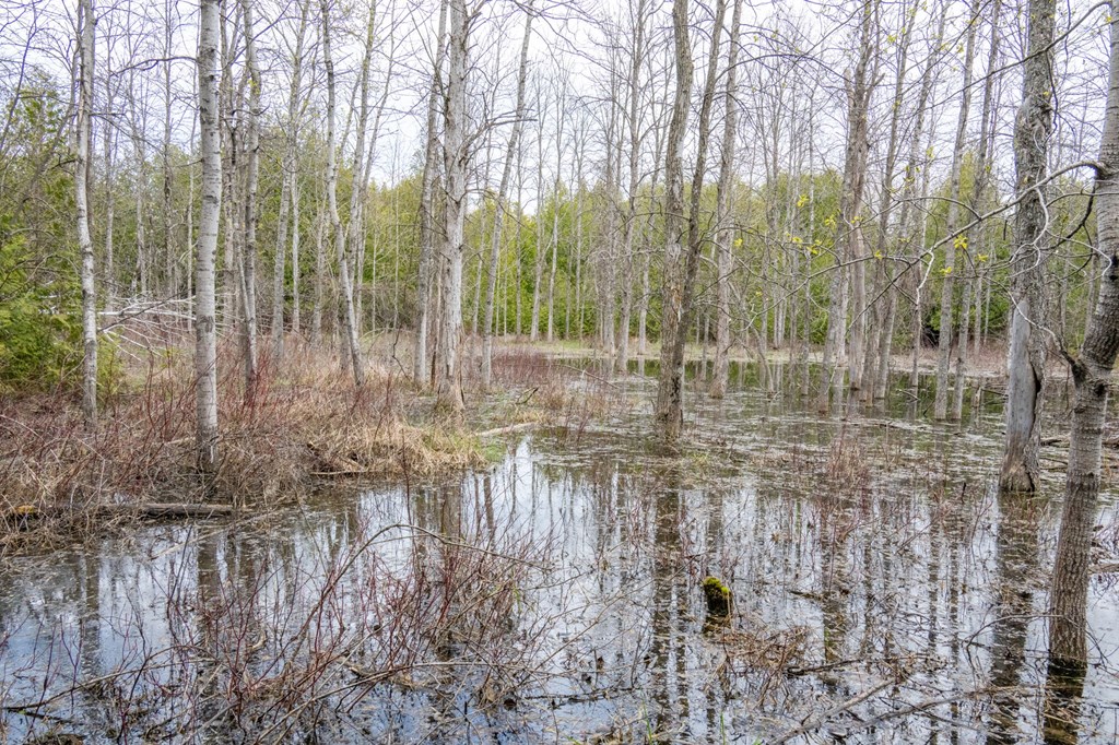 Lot 2 Hill Road Sister Bay, WI 54234 - Photo 12 of 35