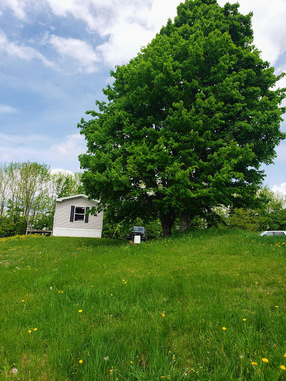 658 Golden Ridge Road Sherman, ME 04776 - Photo 11 of 15 20240522_123331
