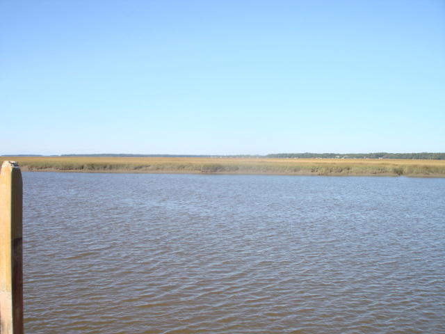 DSC00005