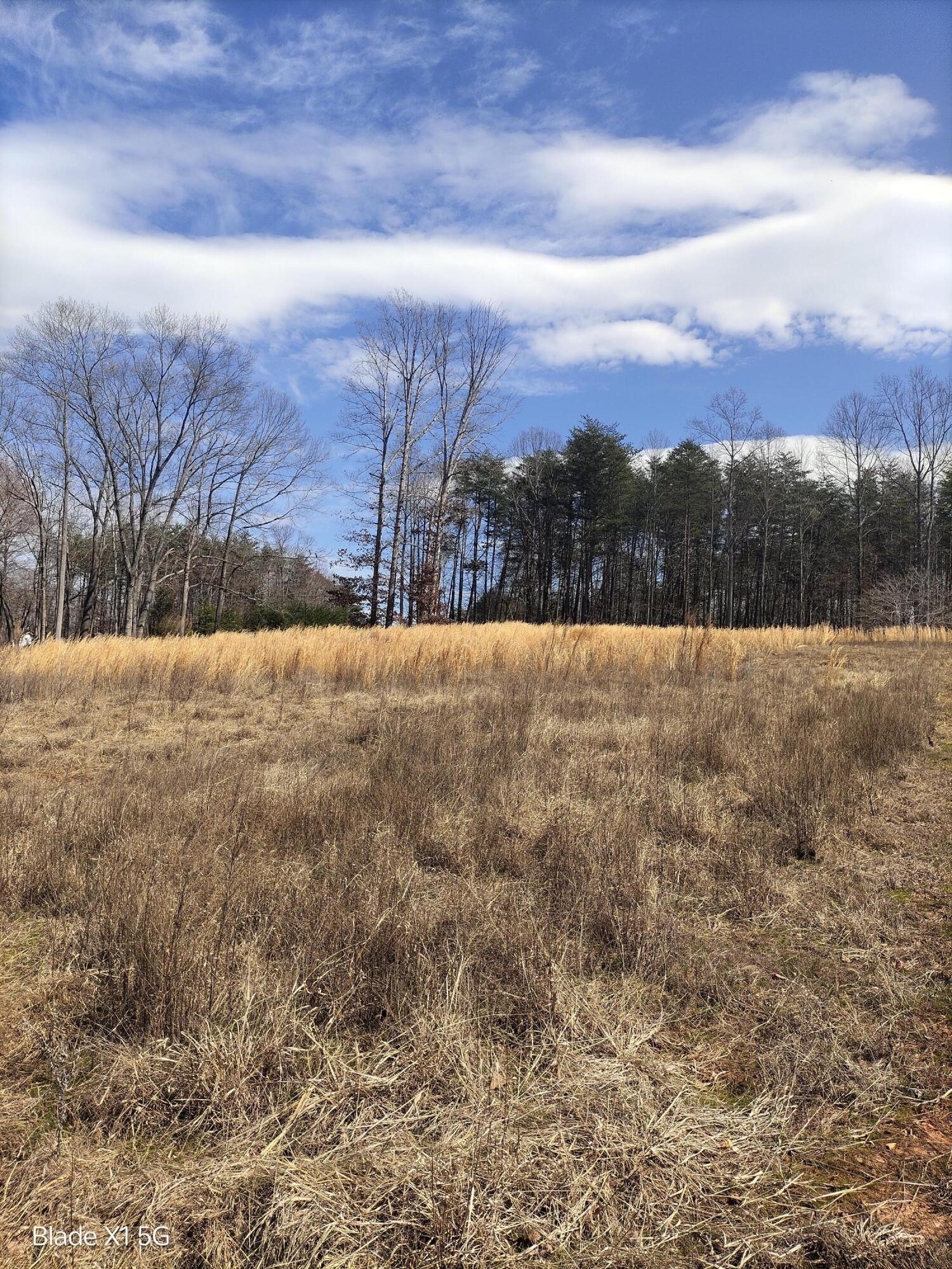 Lot 21 Jefferson Dock Road Penhook, VA 24137 - Photo 8 of 11 Cleared