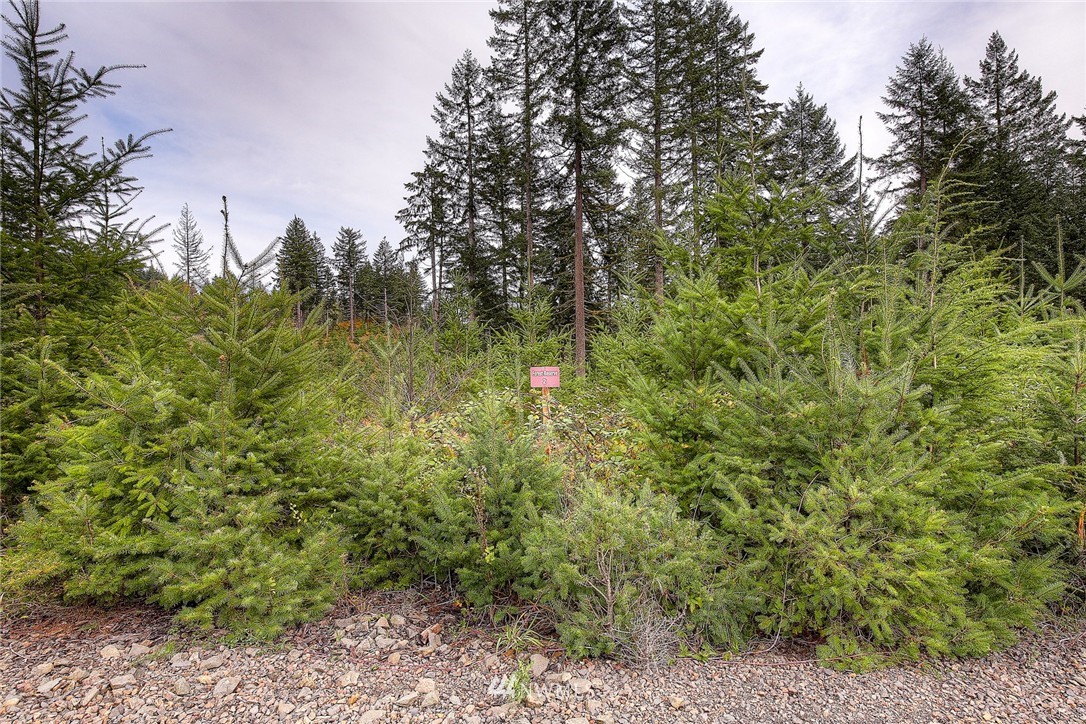 2 Schmitz Road Kalama, WA 98625 - Photo 1 of 25 Gallery Image 1