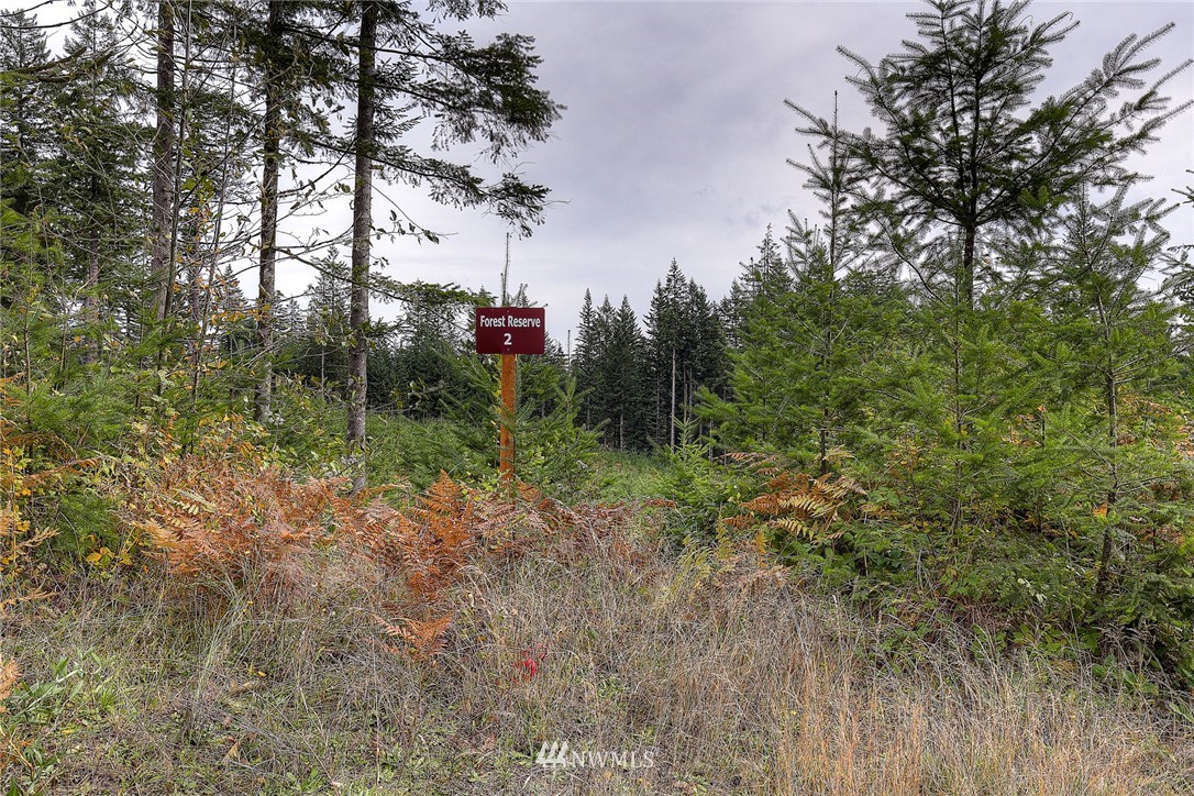 2 Schmitz Road Kalama, WA 98625 - Photo 2 of 25 Gallery Image 2