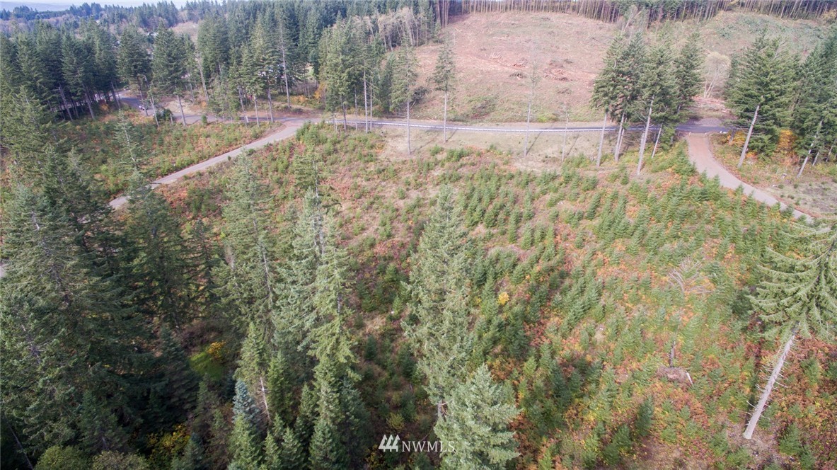 2 Schmitz Road Kalama, WA 98625 - Photo 11 of 25 Gallery Image 11
