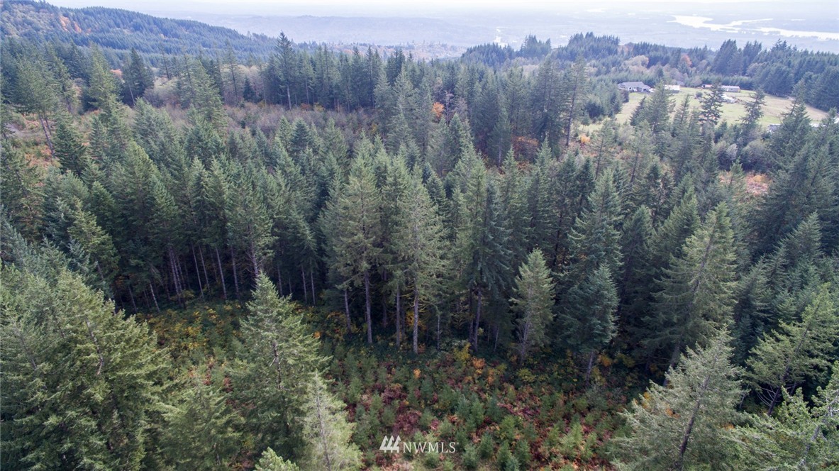 2 Schmitz Road Kalama, WA 98625 - Photo 12 of 25 Gallery Image 12