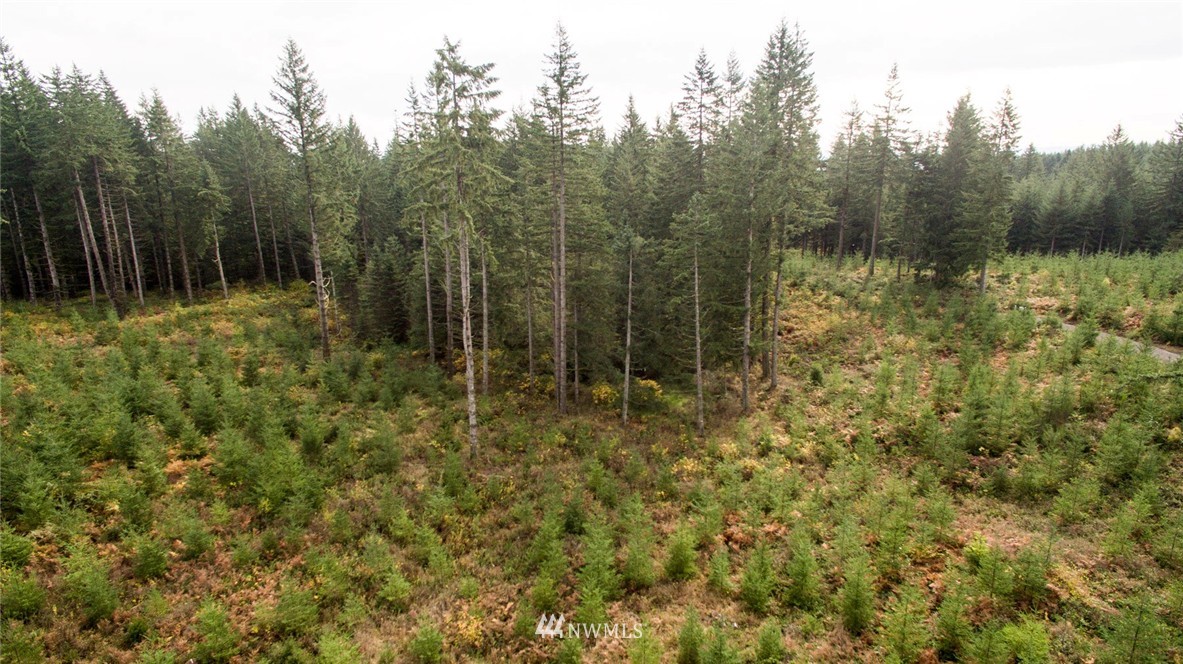 2 Schmitz Road Kalama, WA 98625 - Photo 13 of 25 Gallery Image 13