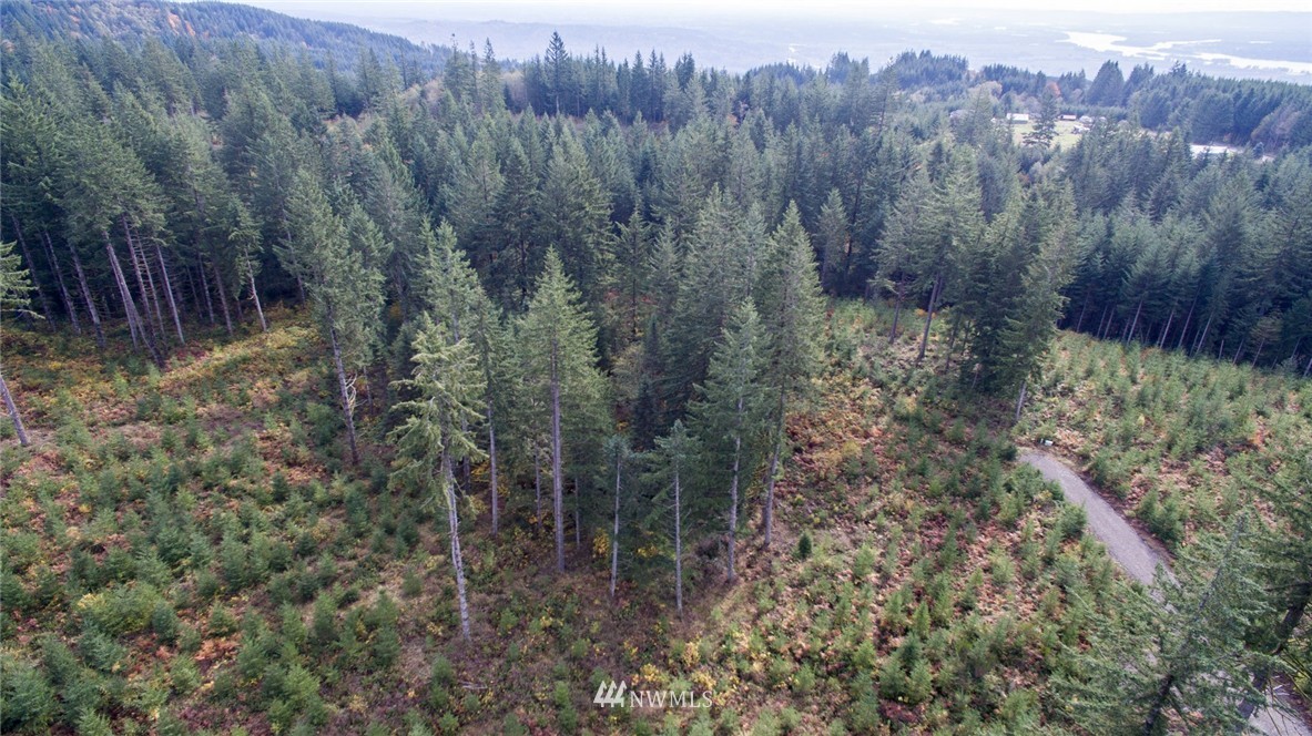 2 Schmitz Road Kalama, WA 98625 - Photo 15 of 25 Gallery Image 15