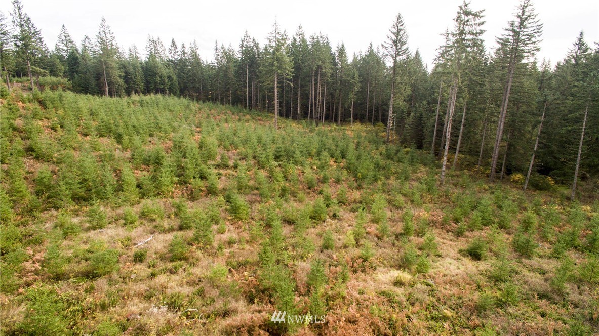 2 Schmitz Road Kalama, WA 98625 - Photo 16 of 25 Gallery Image 16