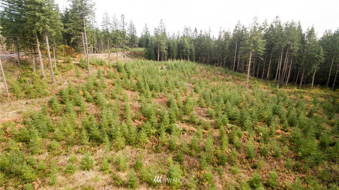 2 Schmitz Road Kalama, WA 98625 - Photo 17 of 25 Gallery Image 17