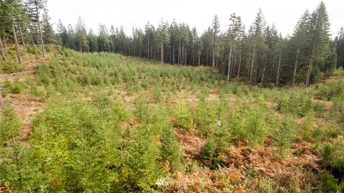 2 Schmitz Road Kalama, WA 98625 - Photo 18 of 25 Gallery Image 18