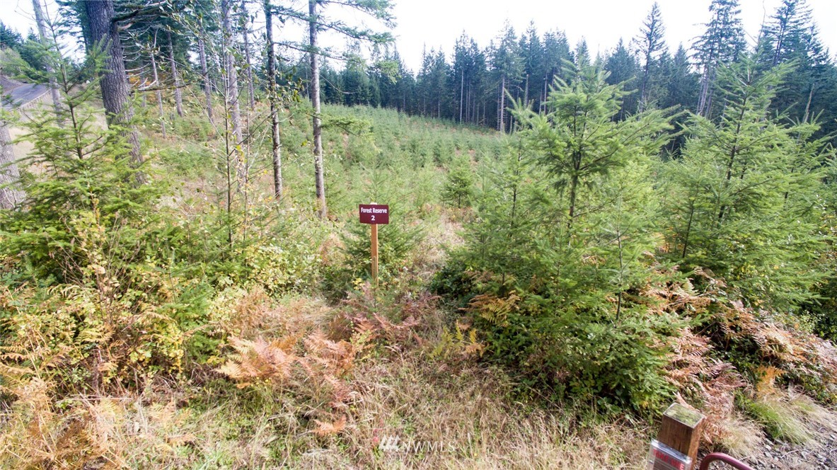 2 Schmitz Road Kalama, WA 98625 - Photo 19 of 25 Gallery Image 19