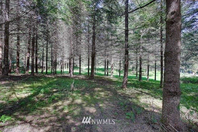 2 Schmitz Road Kalama, WA 98625 - Photo 22 of 25 Gallery Image 22