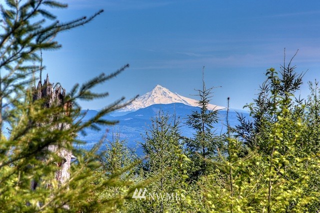 2 Schmitz Road Kalama, WA 98625 - Photo 23 of 25 Gallery Image 23