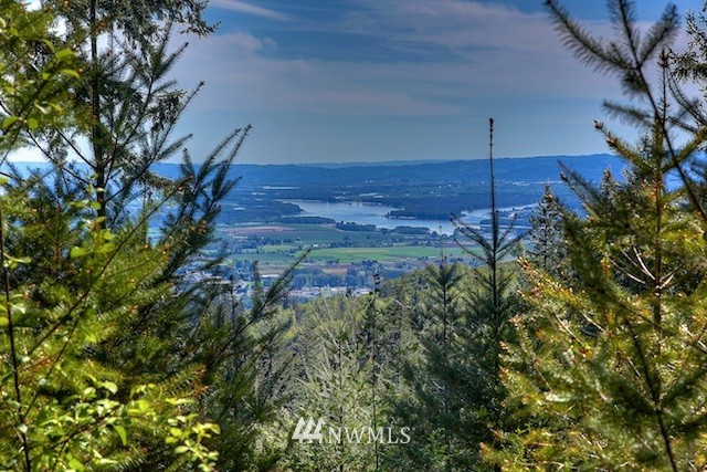 2 Schmitz Road Kalama, WA 98625 - Photo 24 of 25 Gallery Image 24