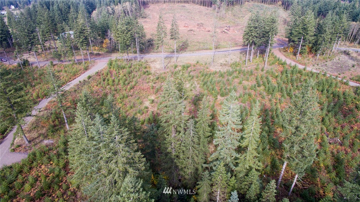 2 Schmitz Road Kalama, WA 98625 - Photo 25 of 25 Gallery Image 25