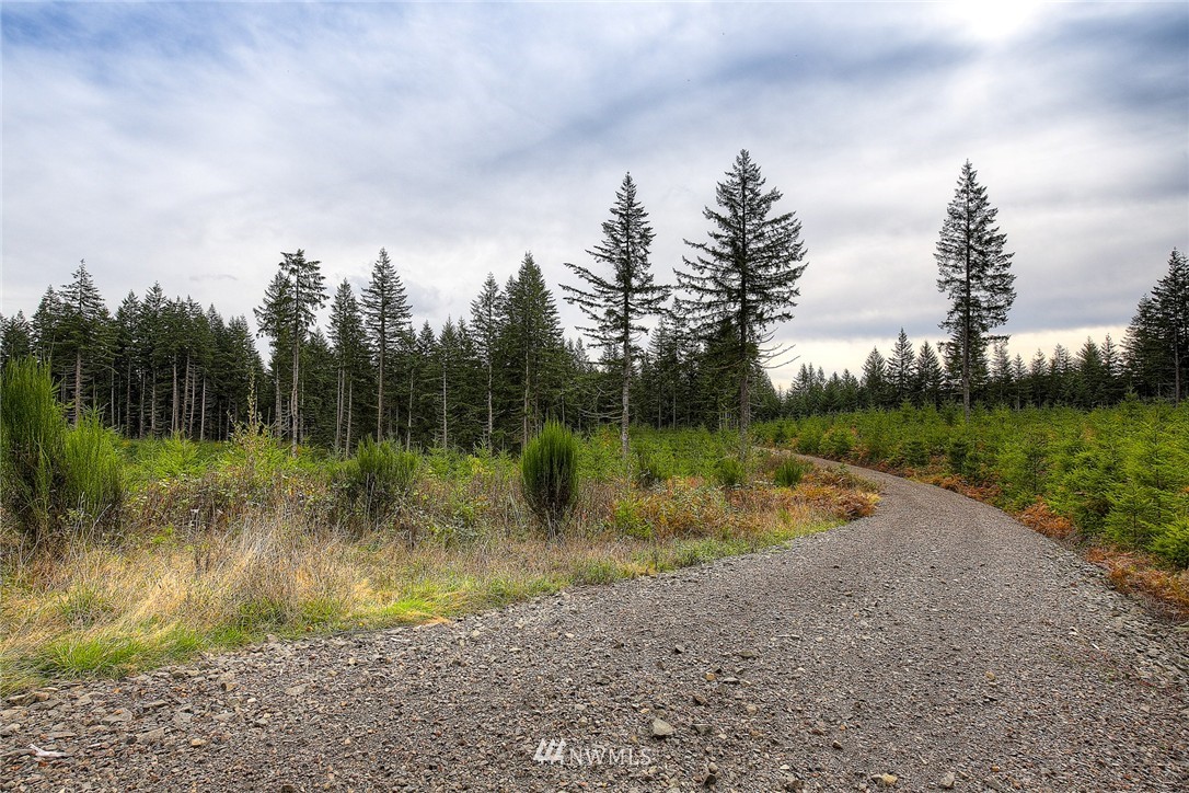 2 Schmitz Road Kalama, WA 98625 - Photo 5 of 25 Gallery Image 5