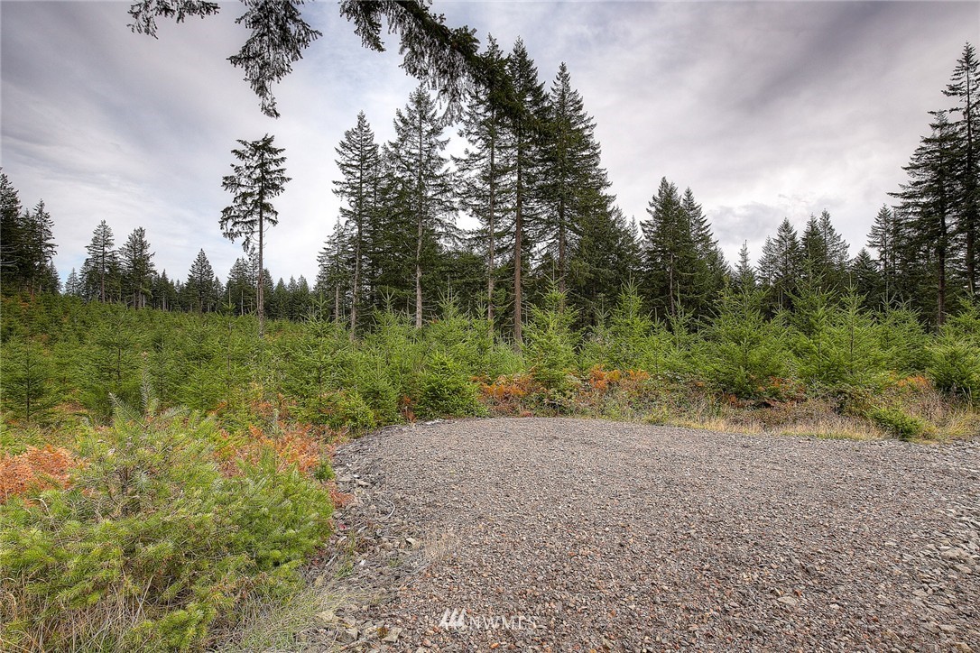 2 Schmitz Road Kalama, WA 98625 - Photo 6 of 25 Gallery Image 6