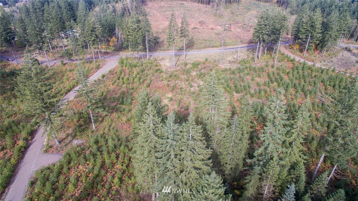 2 Schmitz Road Kalama, WA 98625 - Photo 10 of 25 Gallery Image 10