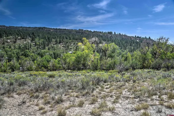 a view of a field of mountains and valleys