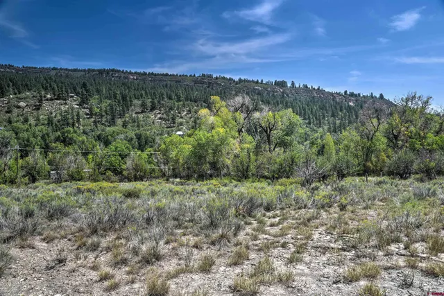 a view of a field of mountains and valleys