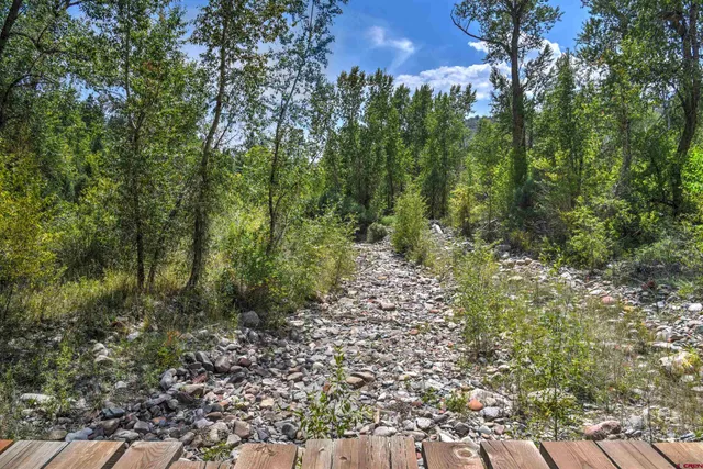 a view of a forest with trees