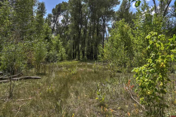 a view of backyard with green space