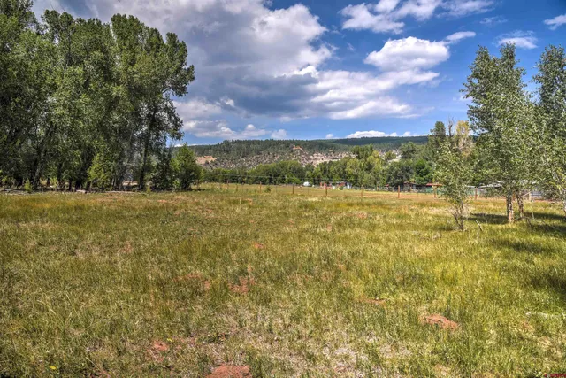 a view of lawn chairs and yard