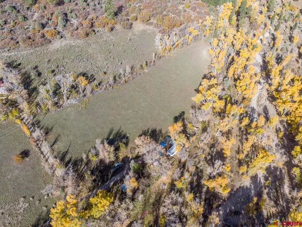 a view of a yard with a tree