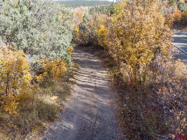 a backyard of a building with large trees