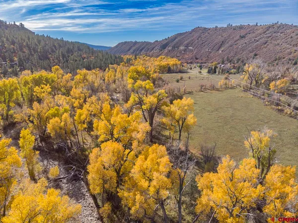 a view of a tree with a yard