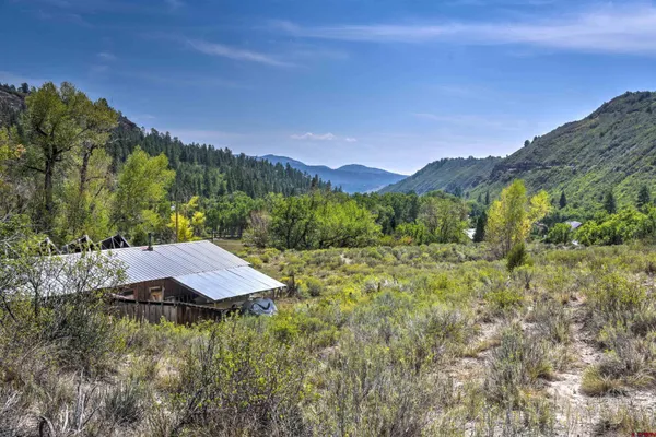 a view of a yard in front of a house