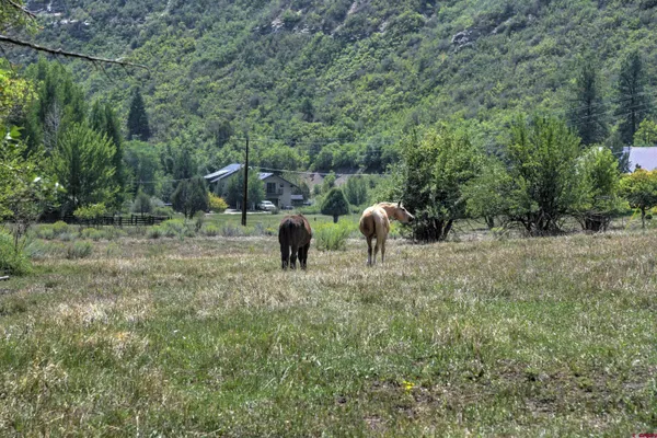 a view of open space with deck and yard
